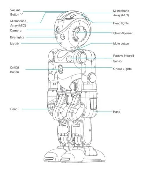 Lynx - Alexa Enabled Smart Home Robot with Facial Recognition - Image 3