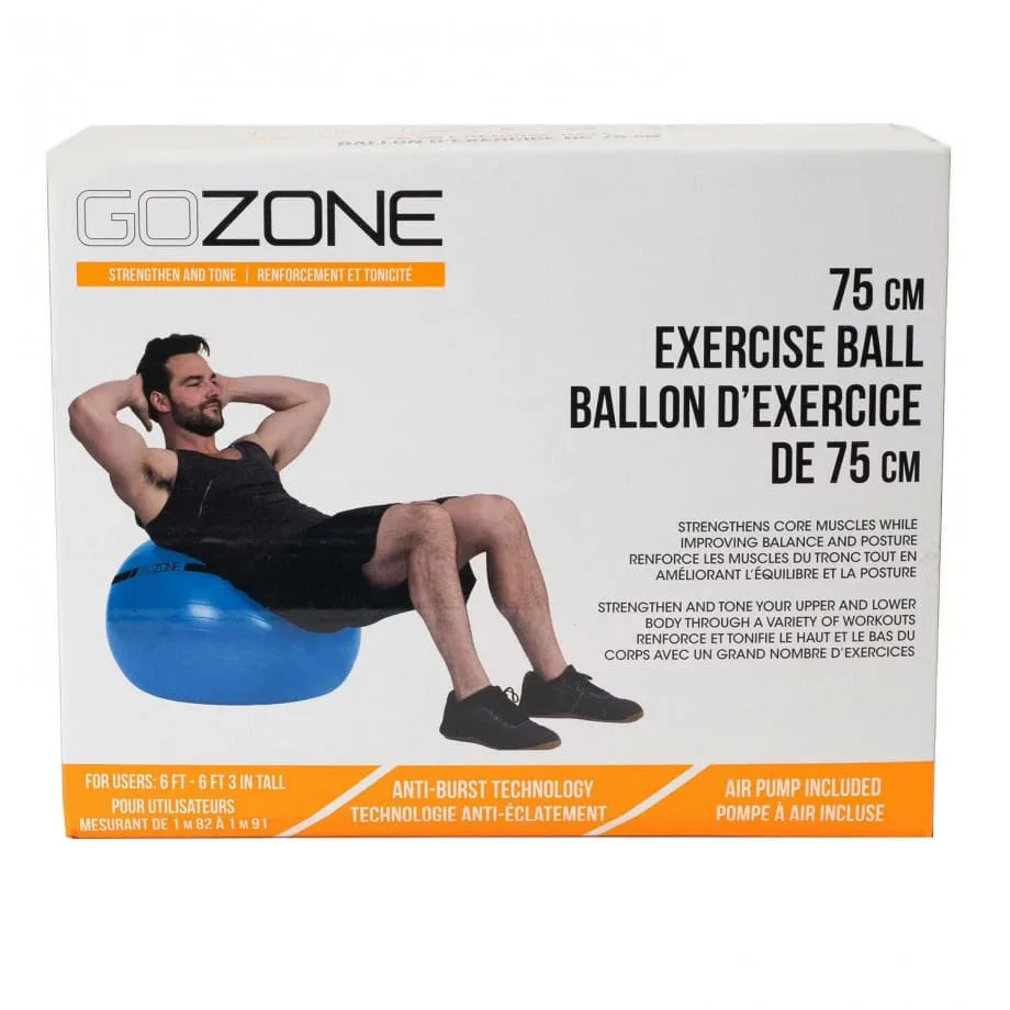 GoZone Exercise Ball, Hand pump included - Image 3