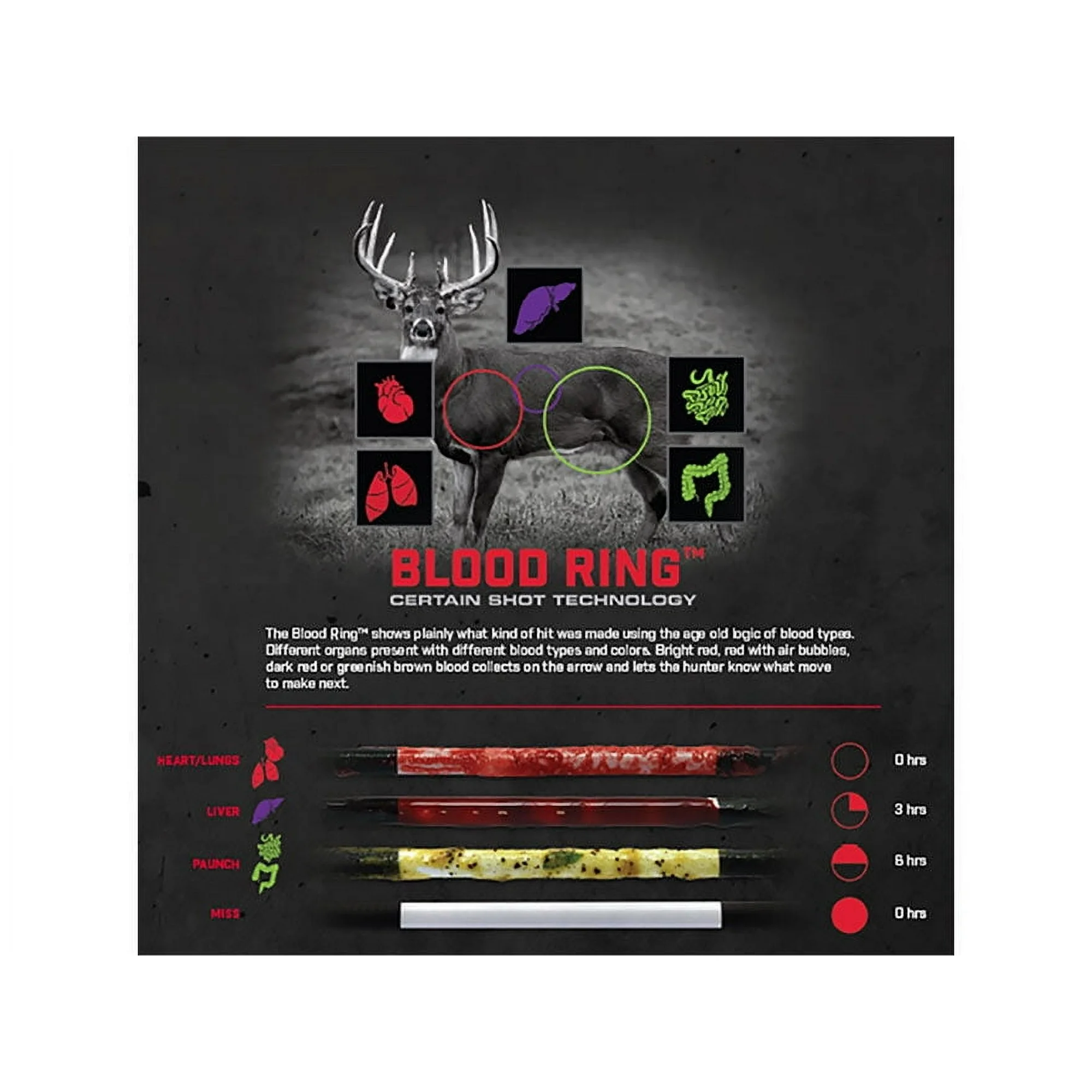 Bloodsport Hunter Extreme Carbon Arrows with Blood Ring, 6 Pack - Image 4