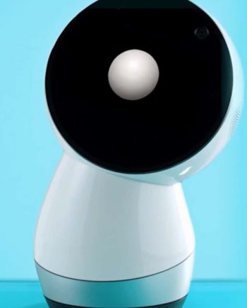 Jibo