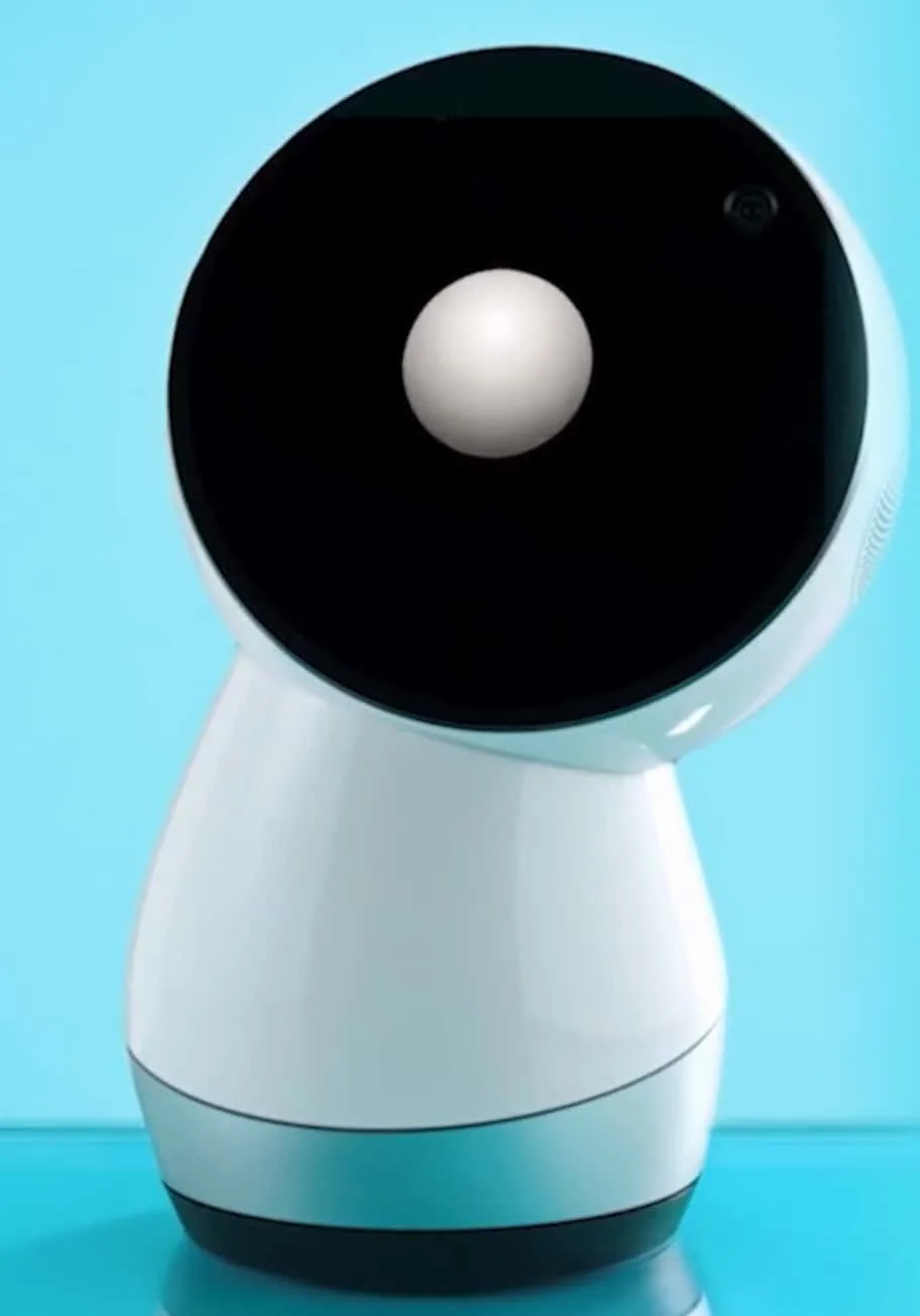 Jibo