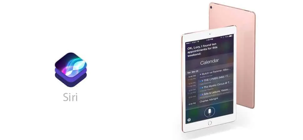 ipad pro 10.5” 512gb wifi 4g (rose gold)
