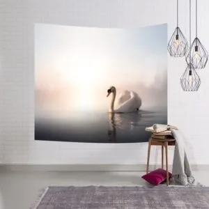 import placeholder for 12335