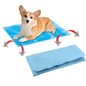 import placeholder for 9347