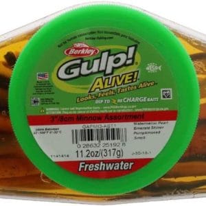 gulp! alive! minnow 3 11.2 oz bucket assorted colors