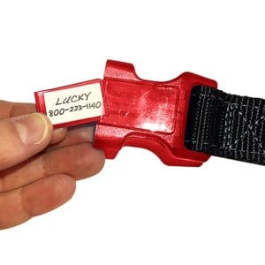 sporn identification collar small dog tag, dog collar with built in id