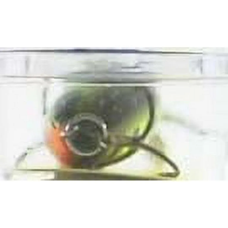 storm original hot n tot 05 hard bait lure, 2", 3/16oz, naturistic perch