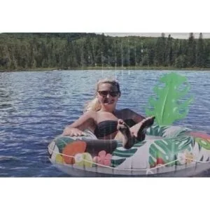 import placeholder for 334367