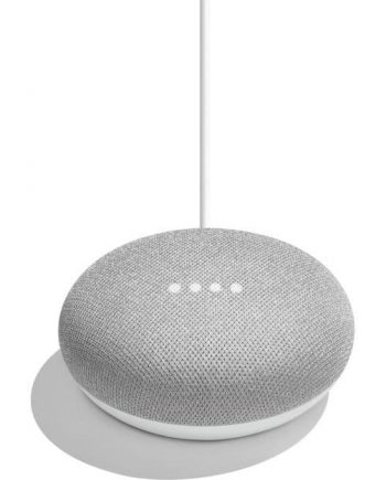 Google Home Mini Chalk Color
