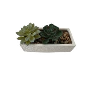 import placeholder for 324331