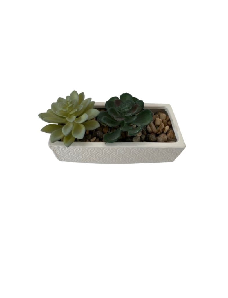 Sale import placeholder for 324331