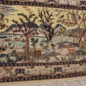 import placeholder for 6070