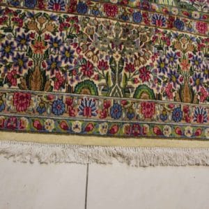 import placeholder for 6299