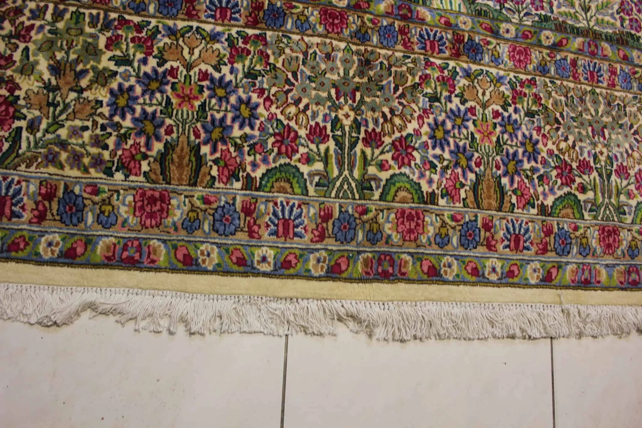 import placeholder for 6299