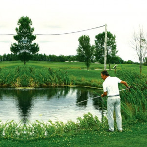 tour mission 12' ball retriever